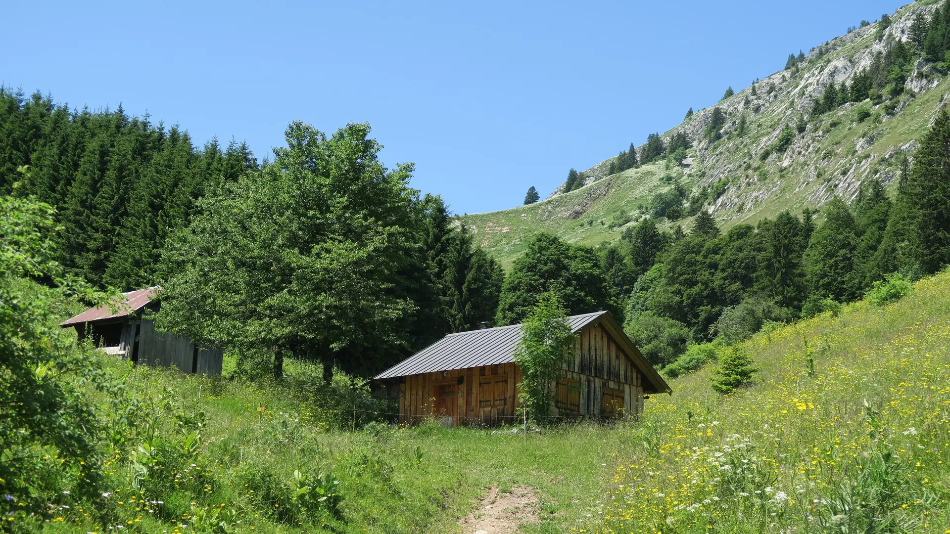 Chalet en bois Vallée d'Aulps