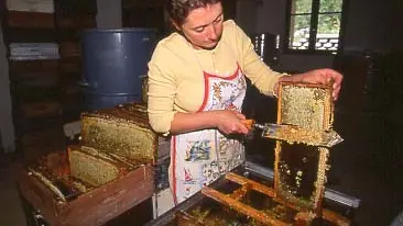 Miellerie du Val d'Oze_Montmaur