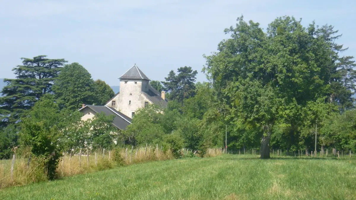 Château de Salins