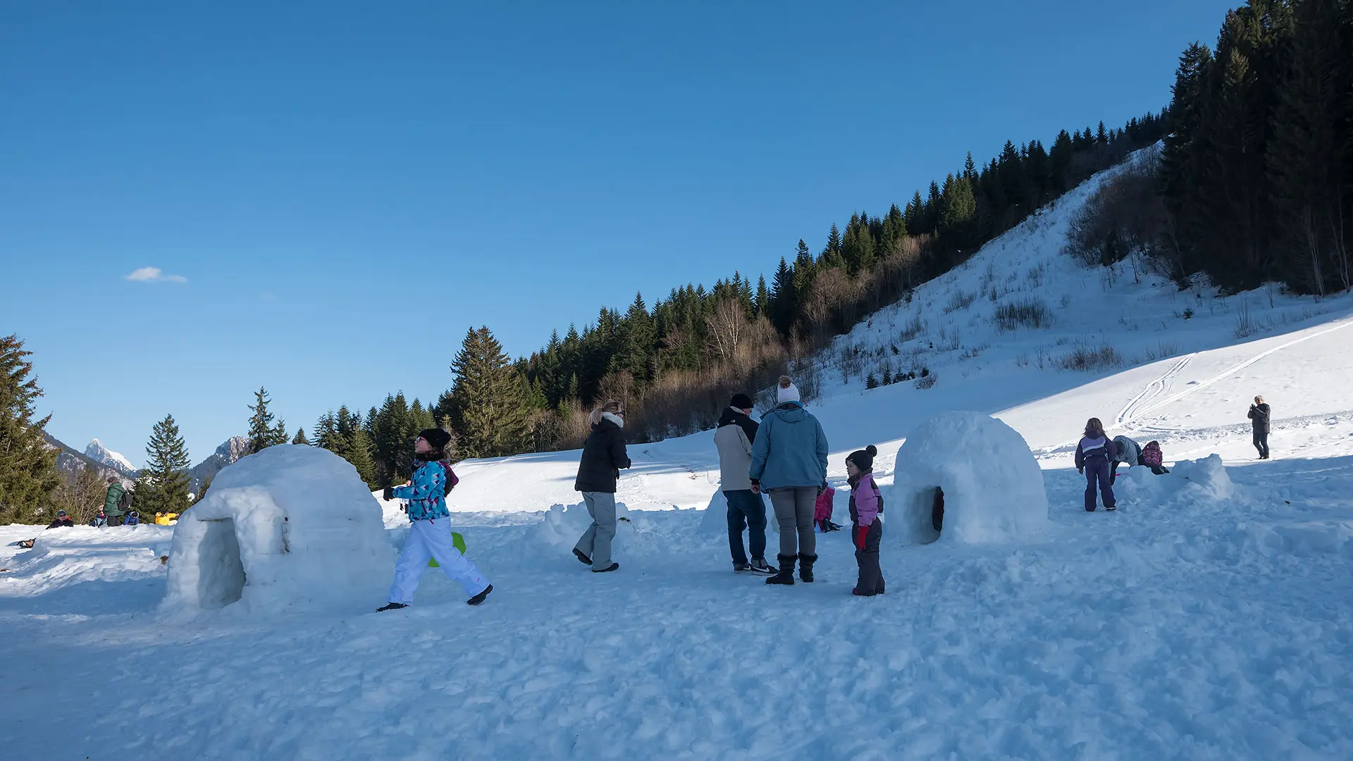 Construction d'igloos