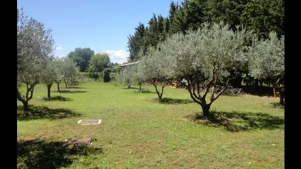 vue de la terrasse
