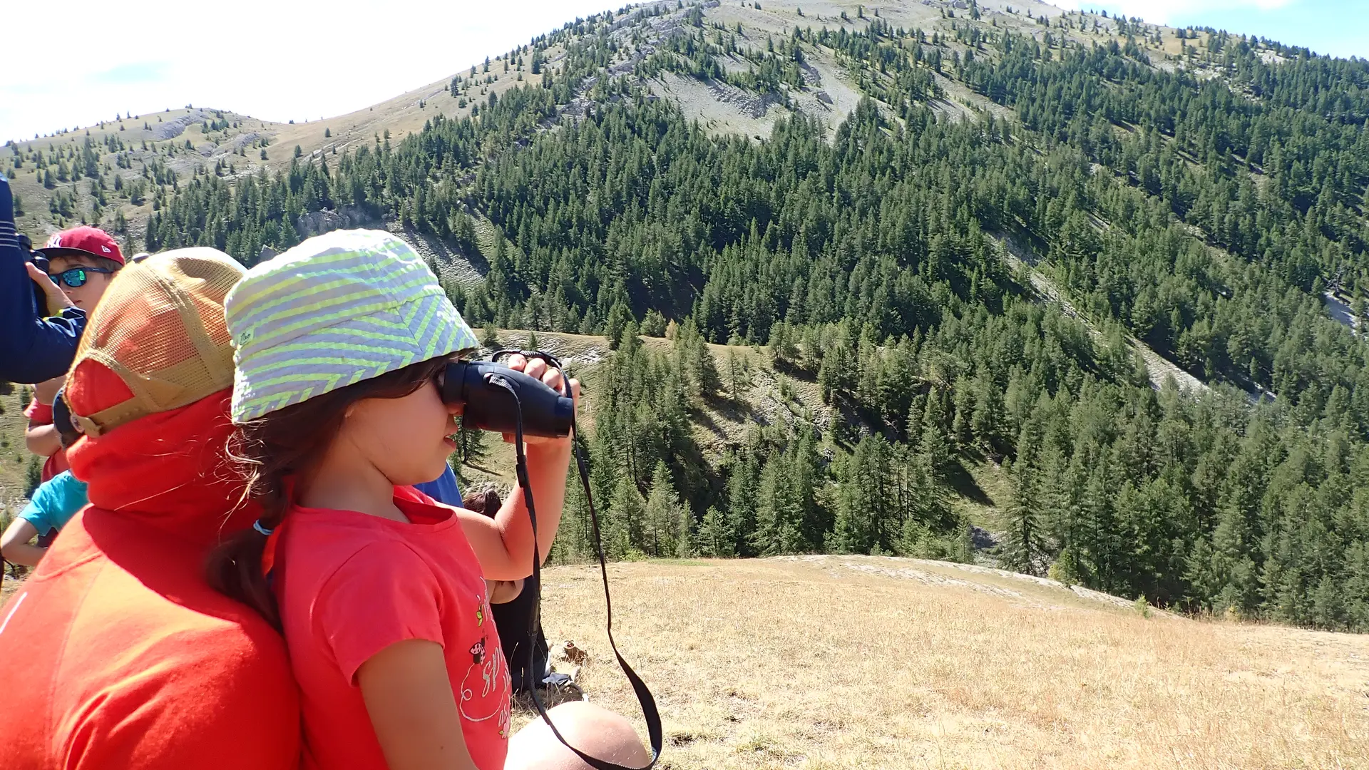 séjour Davy Crockett