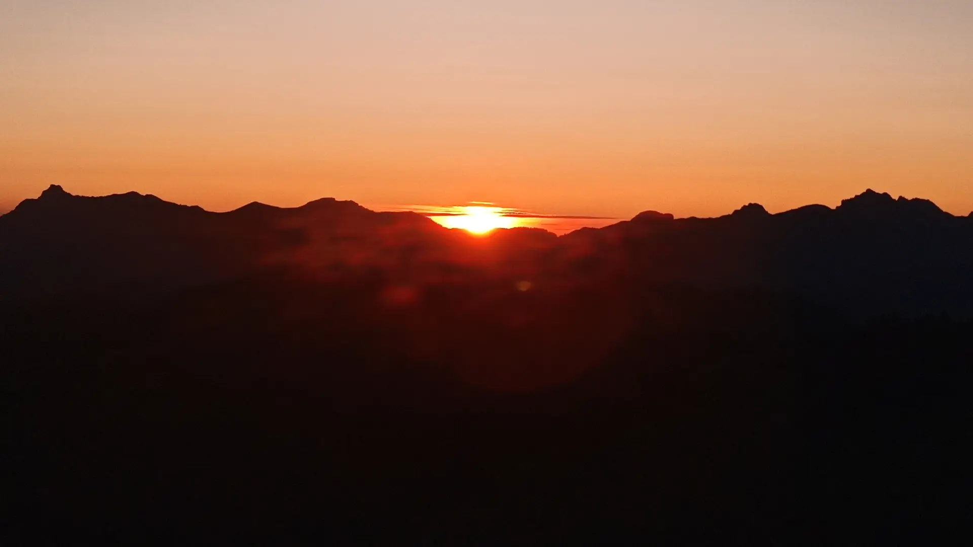 Sunset et chamois