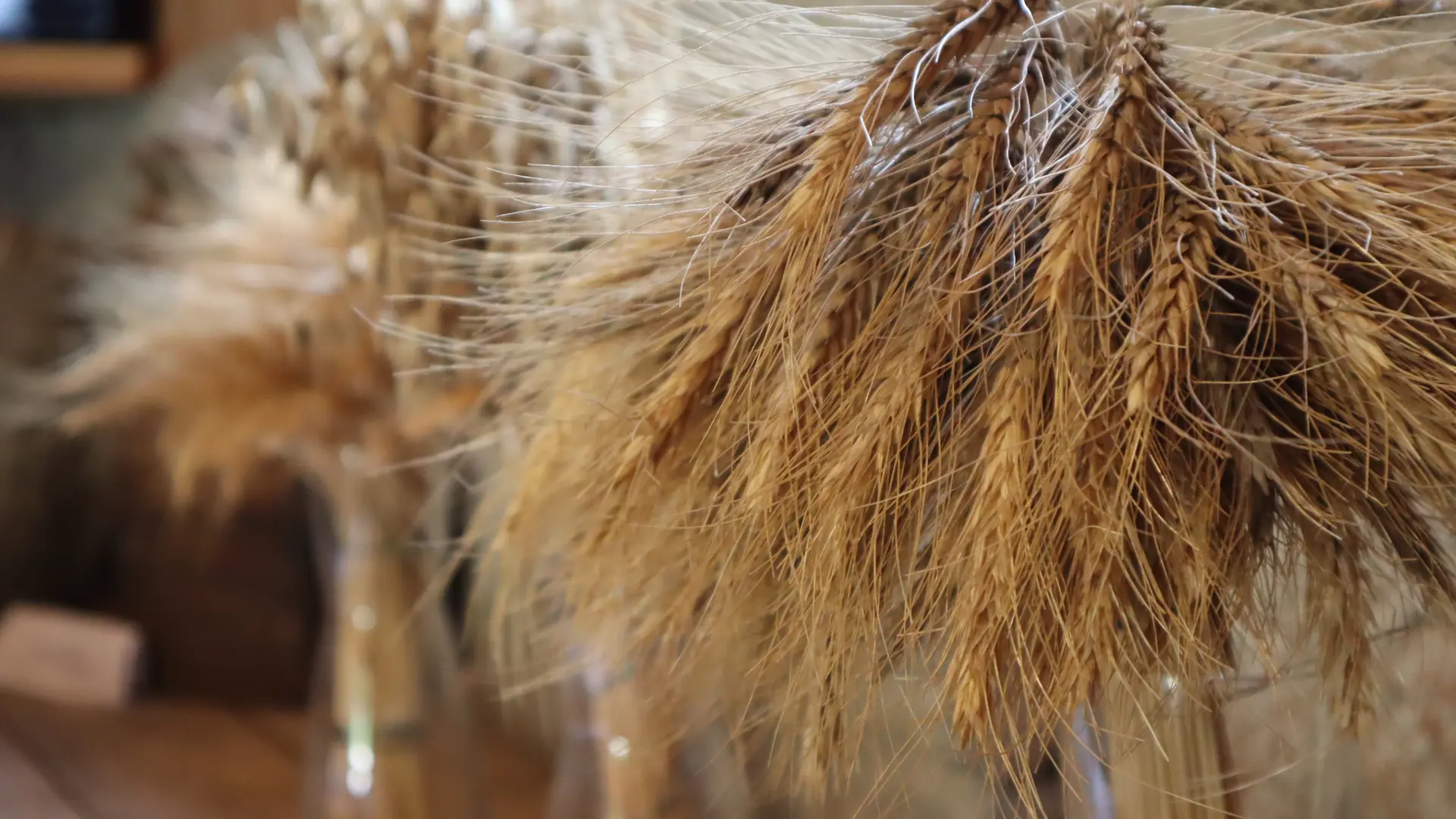 Sachas Mill Museum - Villard-Saint-Pancrace