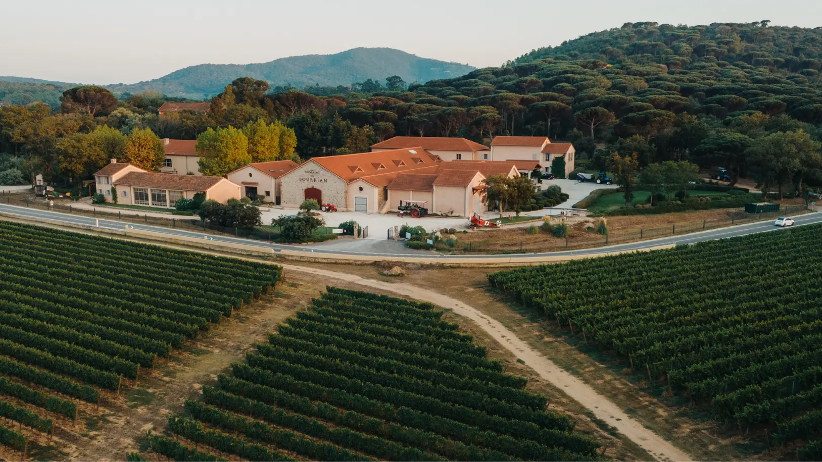 Domaine viticole du Bourrian