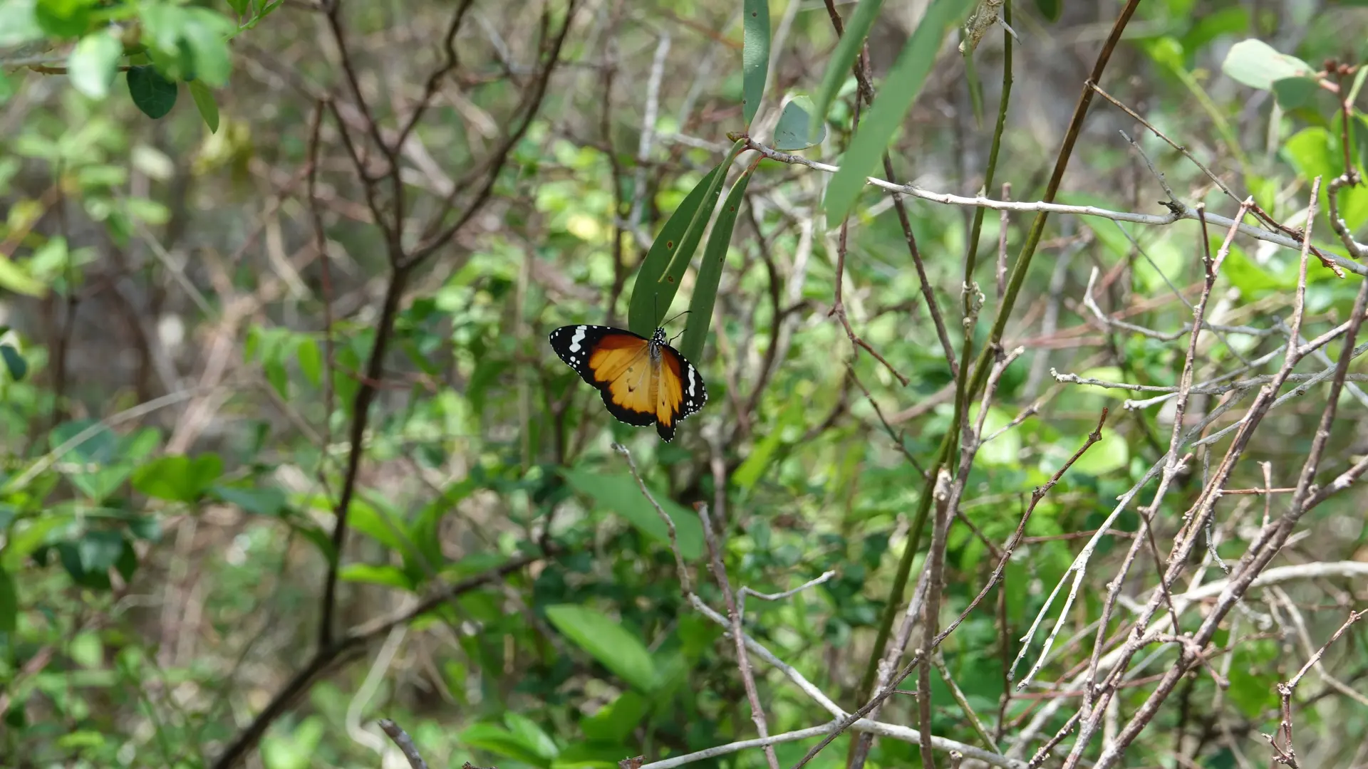 Photo d'un moment dans le parcours