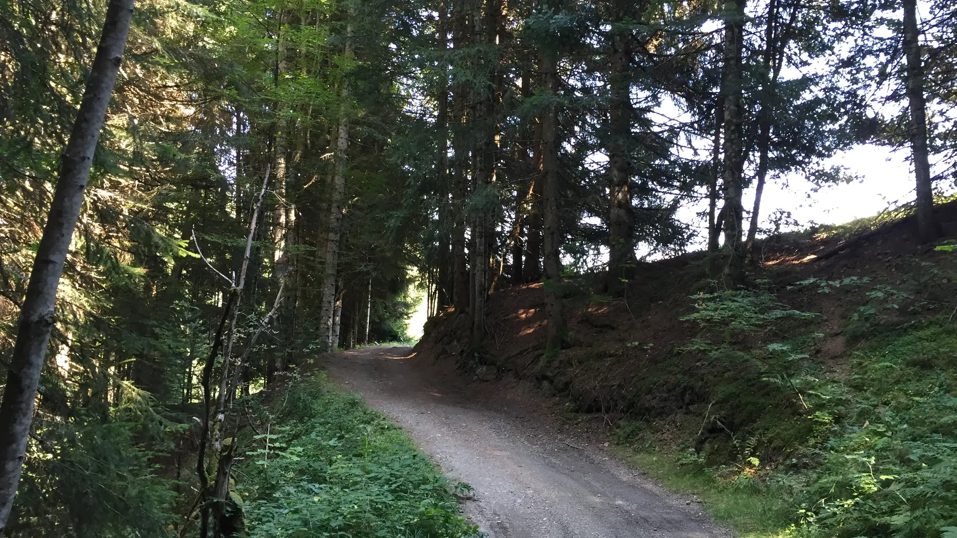 Sentier pédestre en direction de l'Avenaz