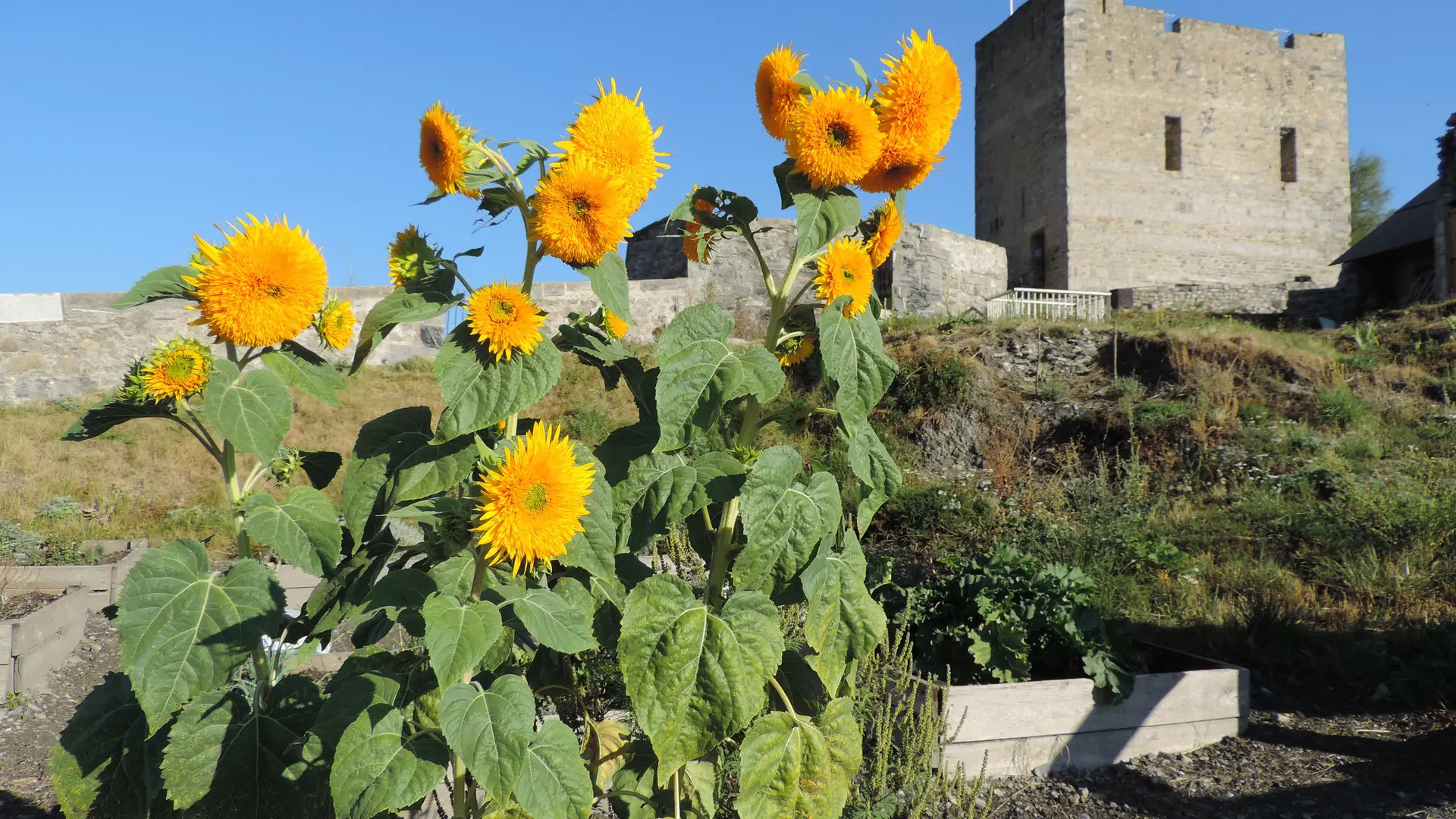 Citadelle Vauban