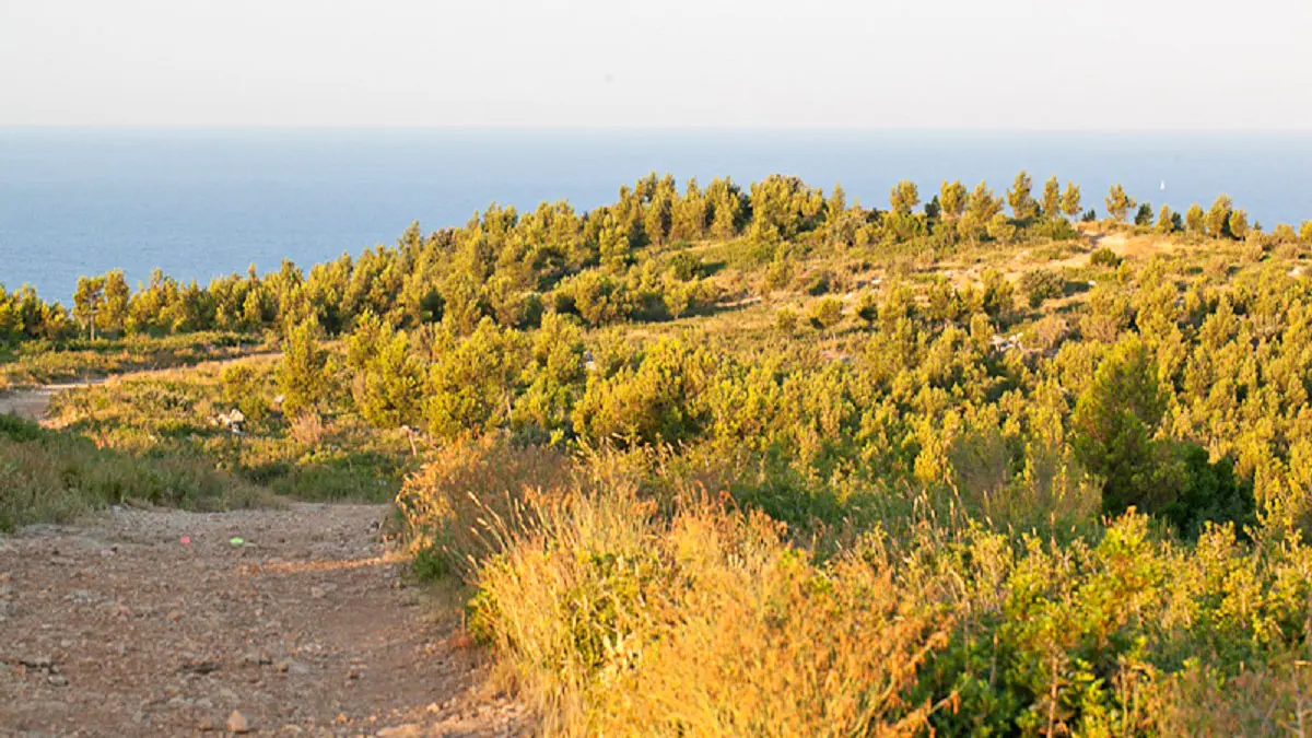 Sentier de randonnée