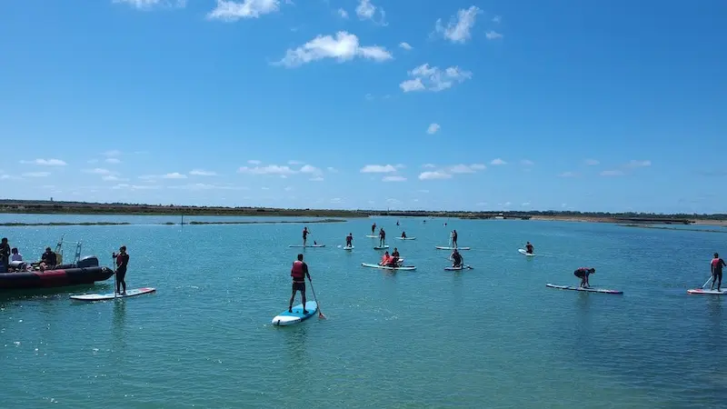 Stand up paddle