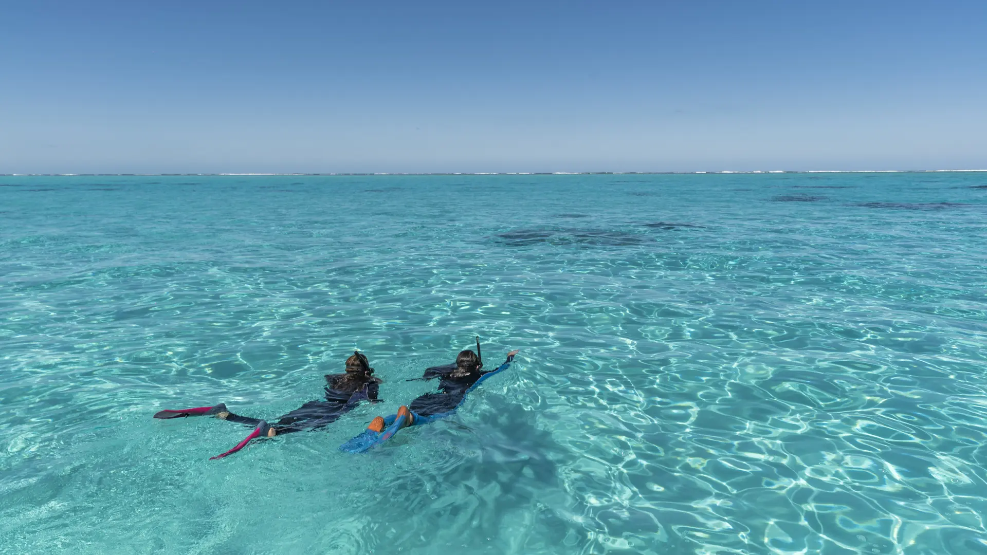 Dans l'eau