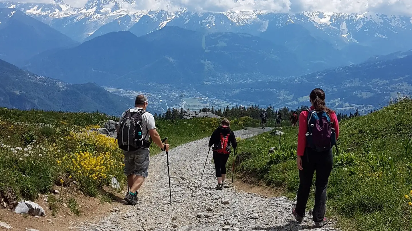 le chemin retour