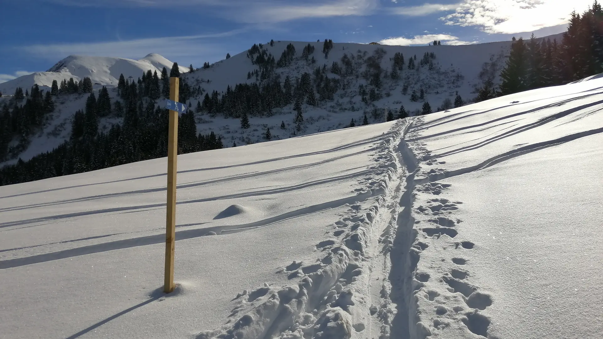 Itinéraire de ski de randonnée - Le Bettex / Sous les Freddys