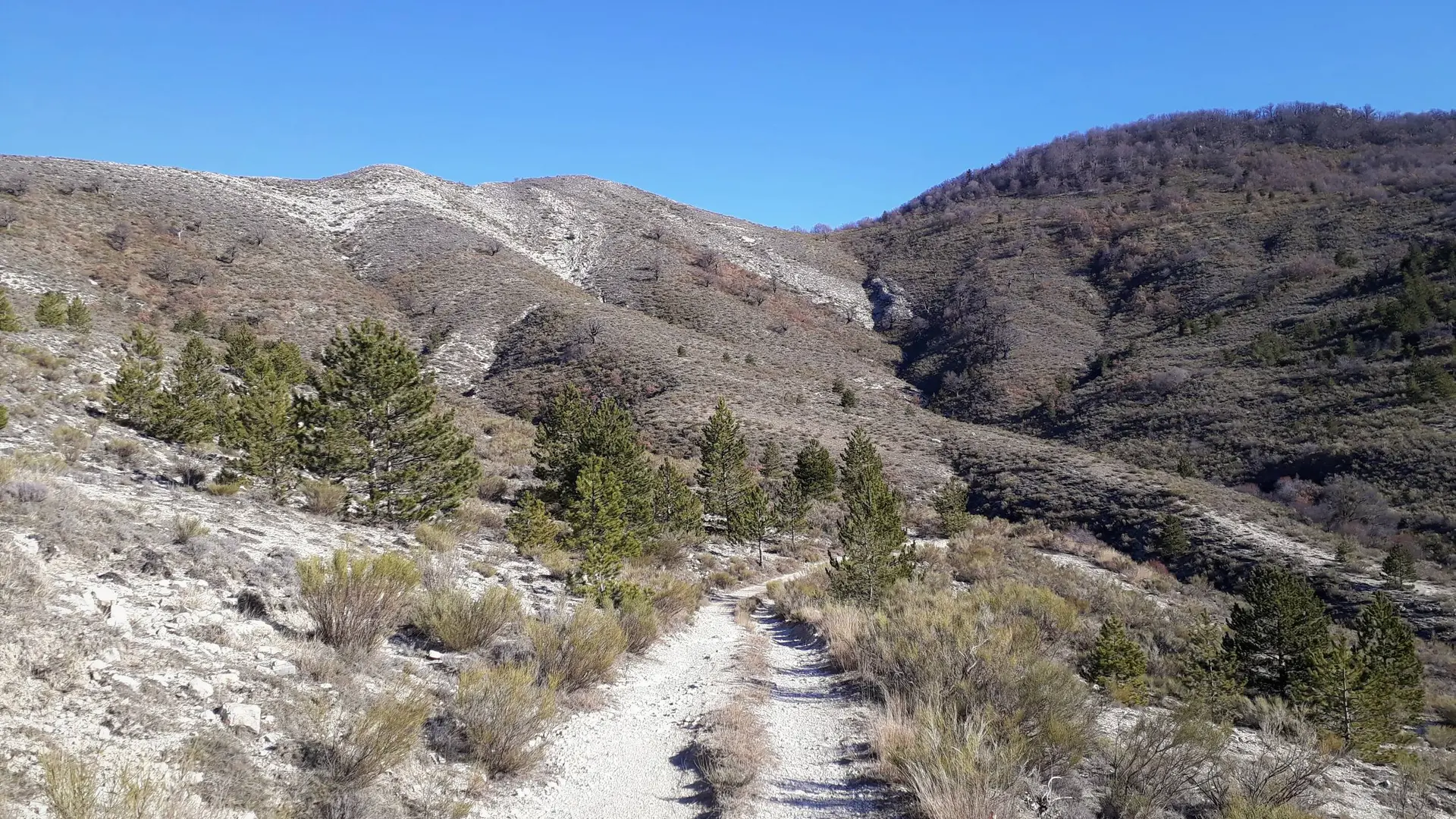 Très belle piste qu'il faut suivre