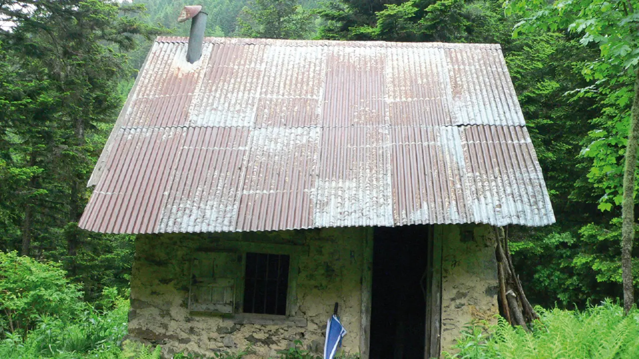 Cabane