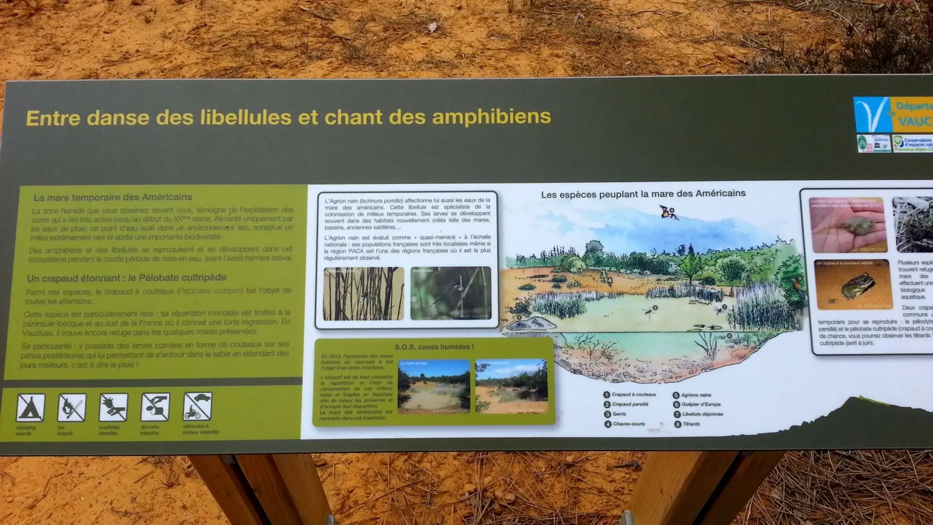 Signalétique en chemin