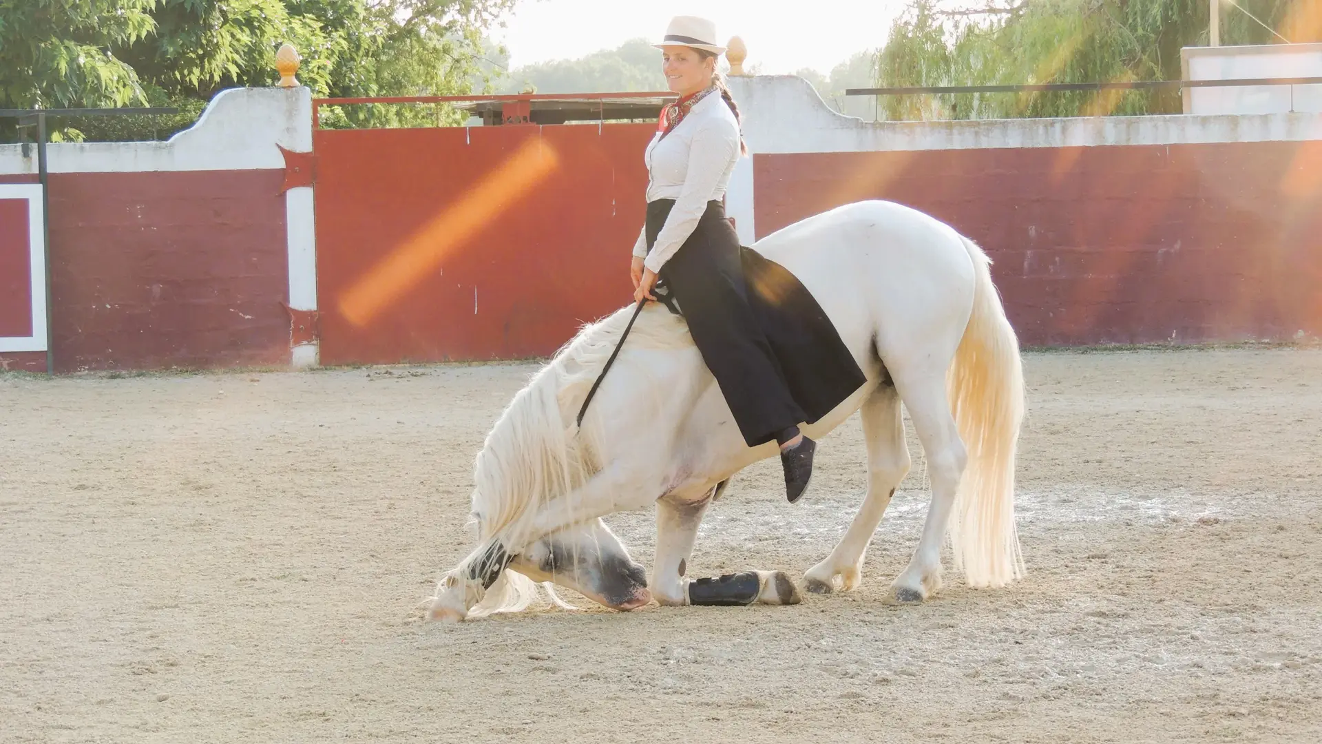 Cavalière en tenue traditionnelle exécutant un numéro équestre en Camargue.