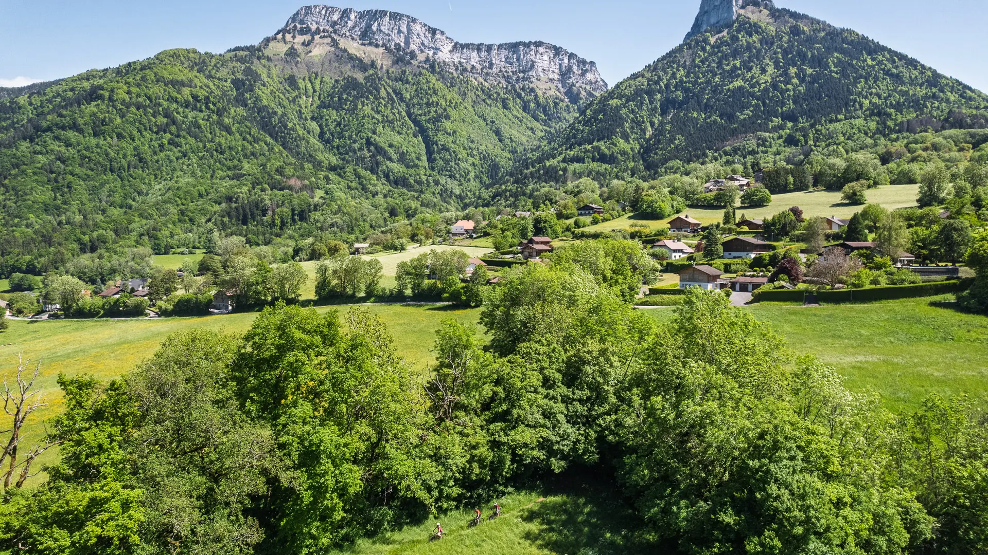 alex dents de lanfon