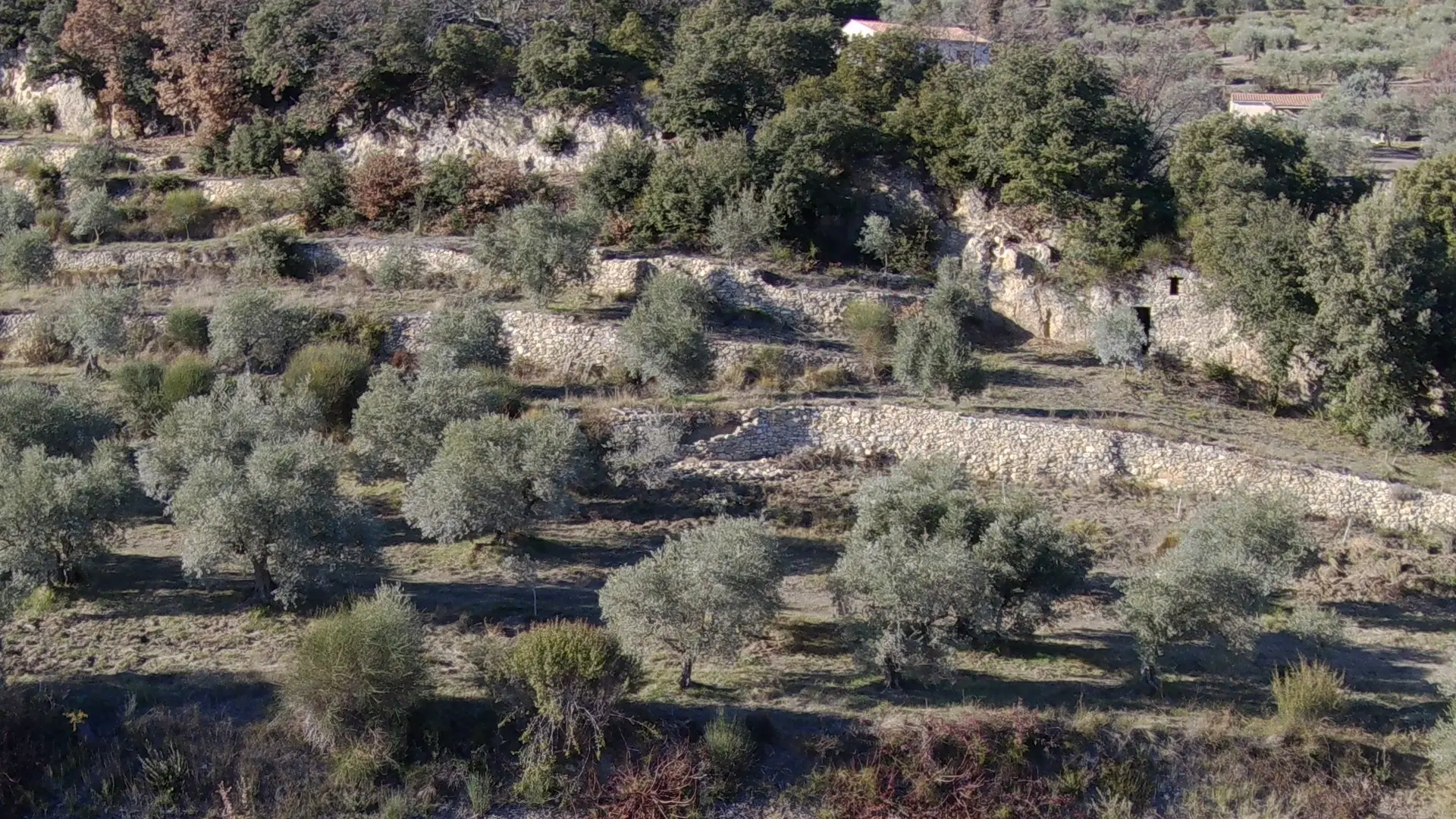 producteur à Manosque