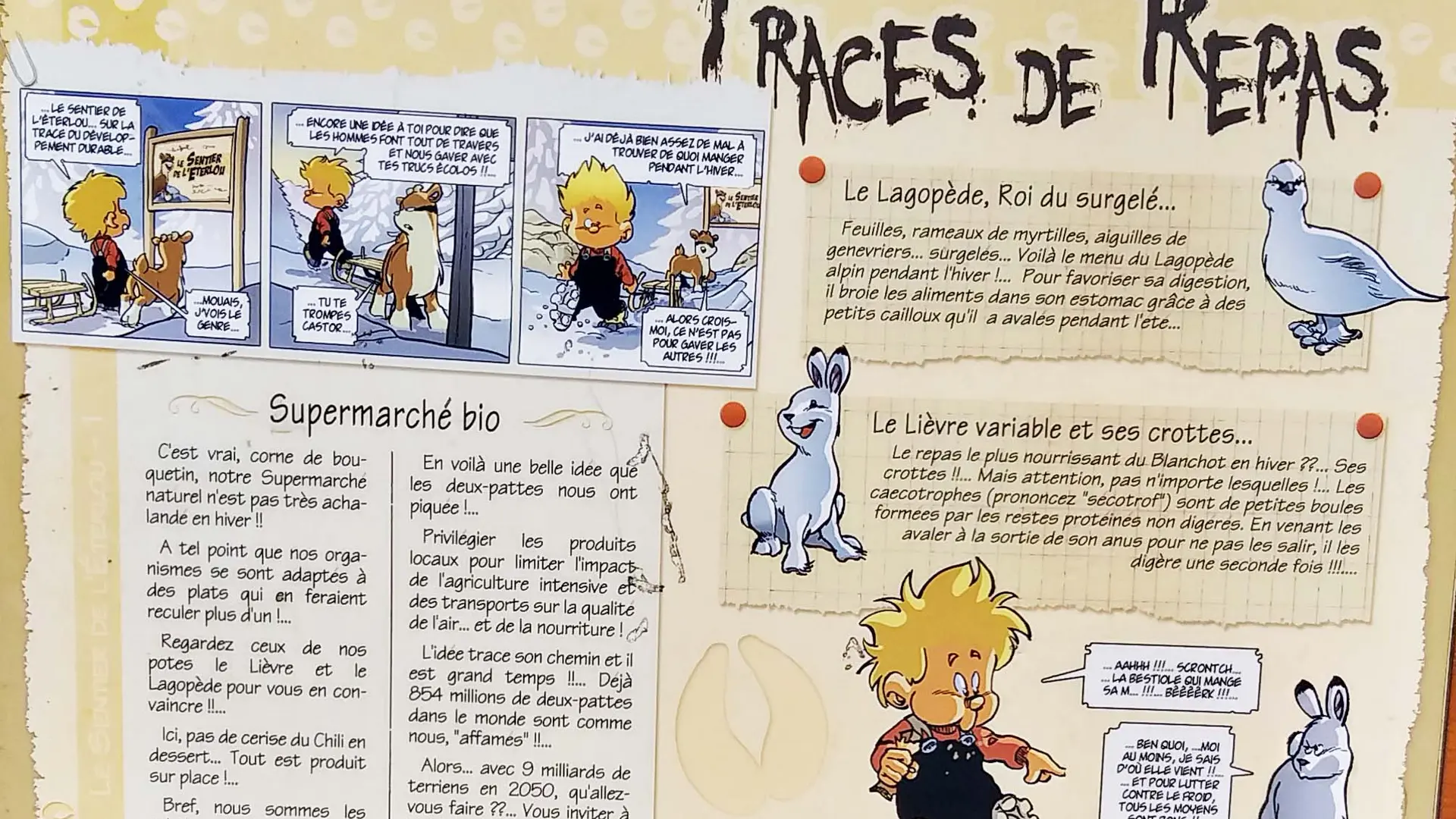 Sentier de l'Éterlou - Panneau en gros plan sur le thème des traces de repas insolite de  certains animaux de nos forêts