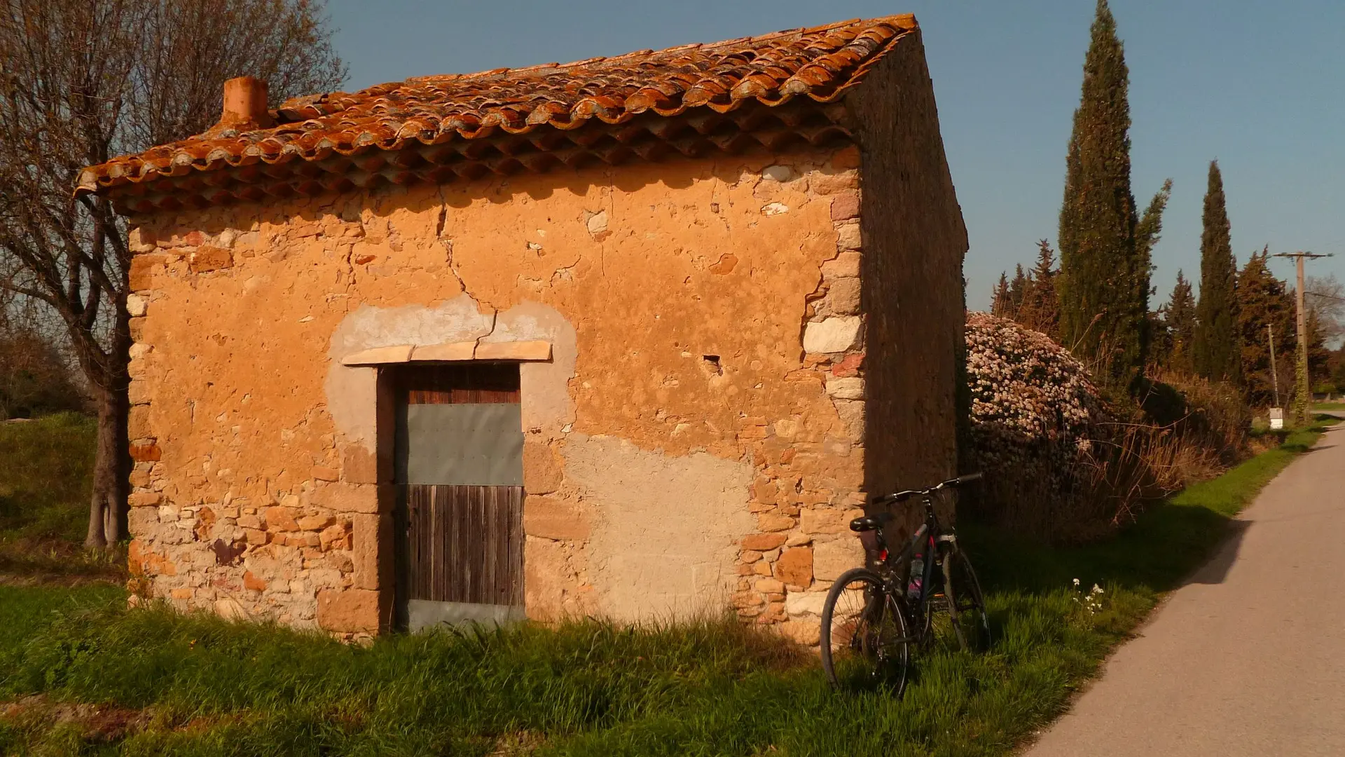 Cabanon - Campagne provençale