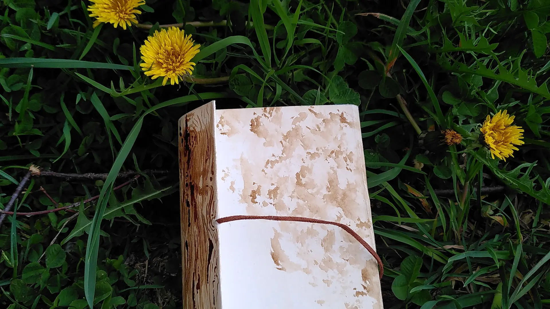 Atelier Cahiers accordéon_La Motte-en-Champsaur