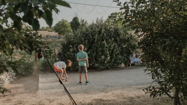 Visit Lavender field in Aix en Provence