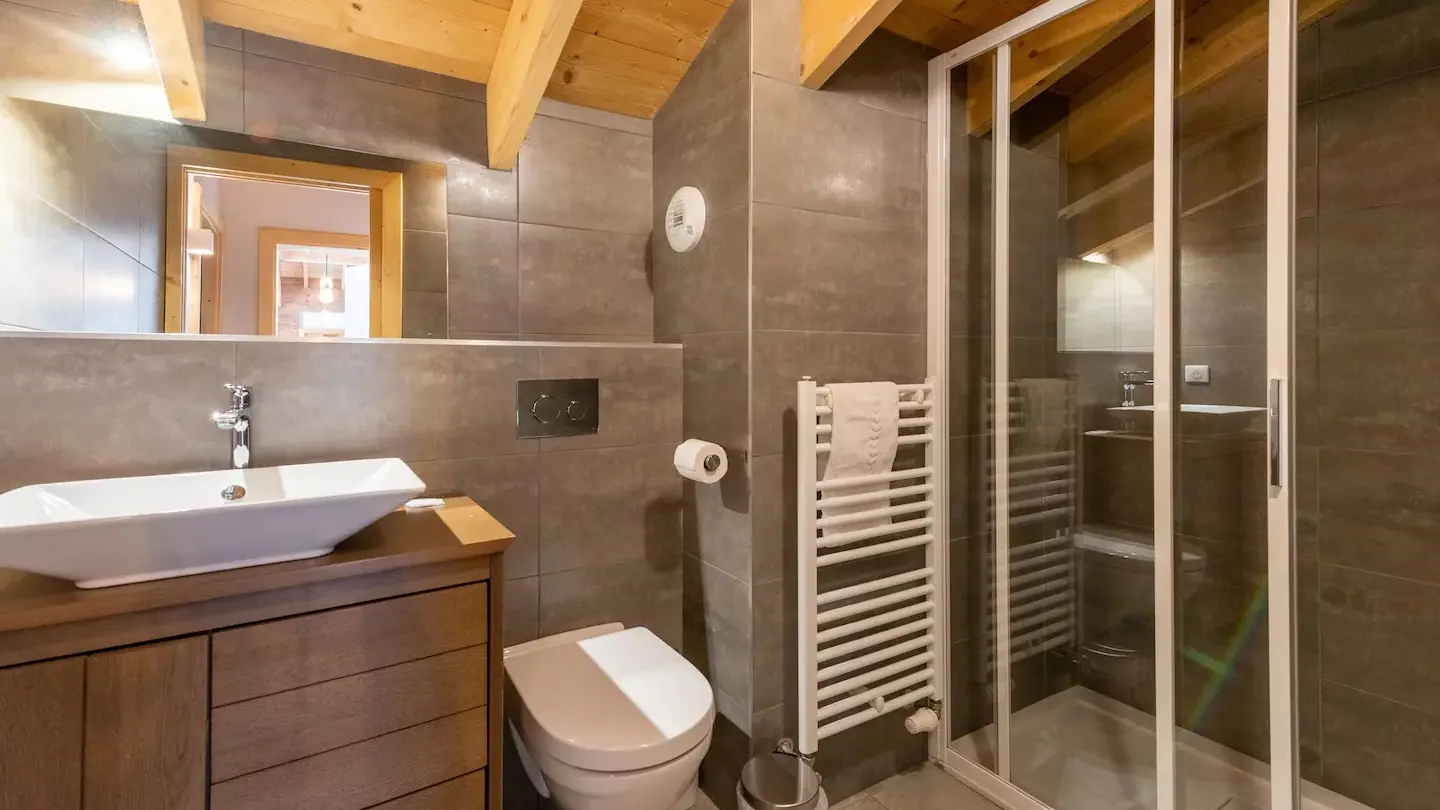 Salle de bains avec grande vasque et son meuble en bois, toillettes et douche