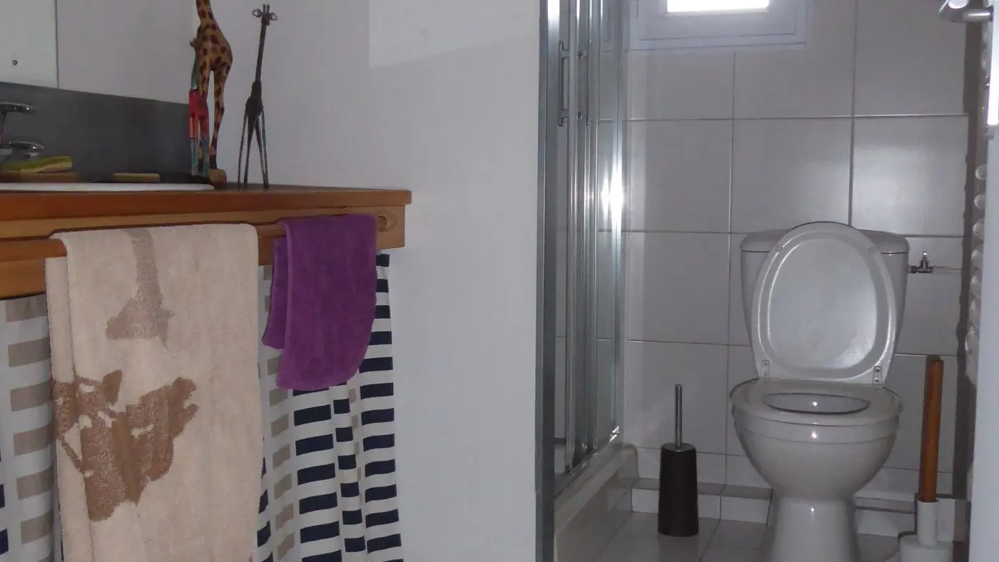 Salle d'eau avec douche, toilettes et lavabo