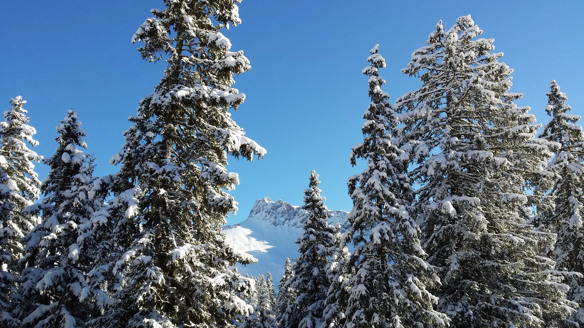 Praz de Lys Sommand en hiver