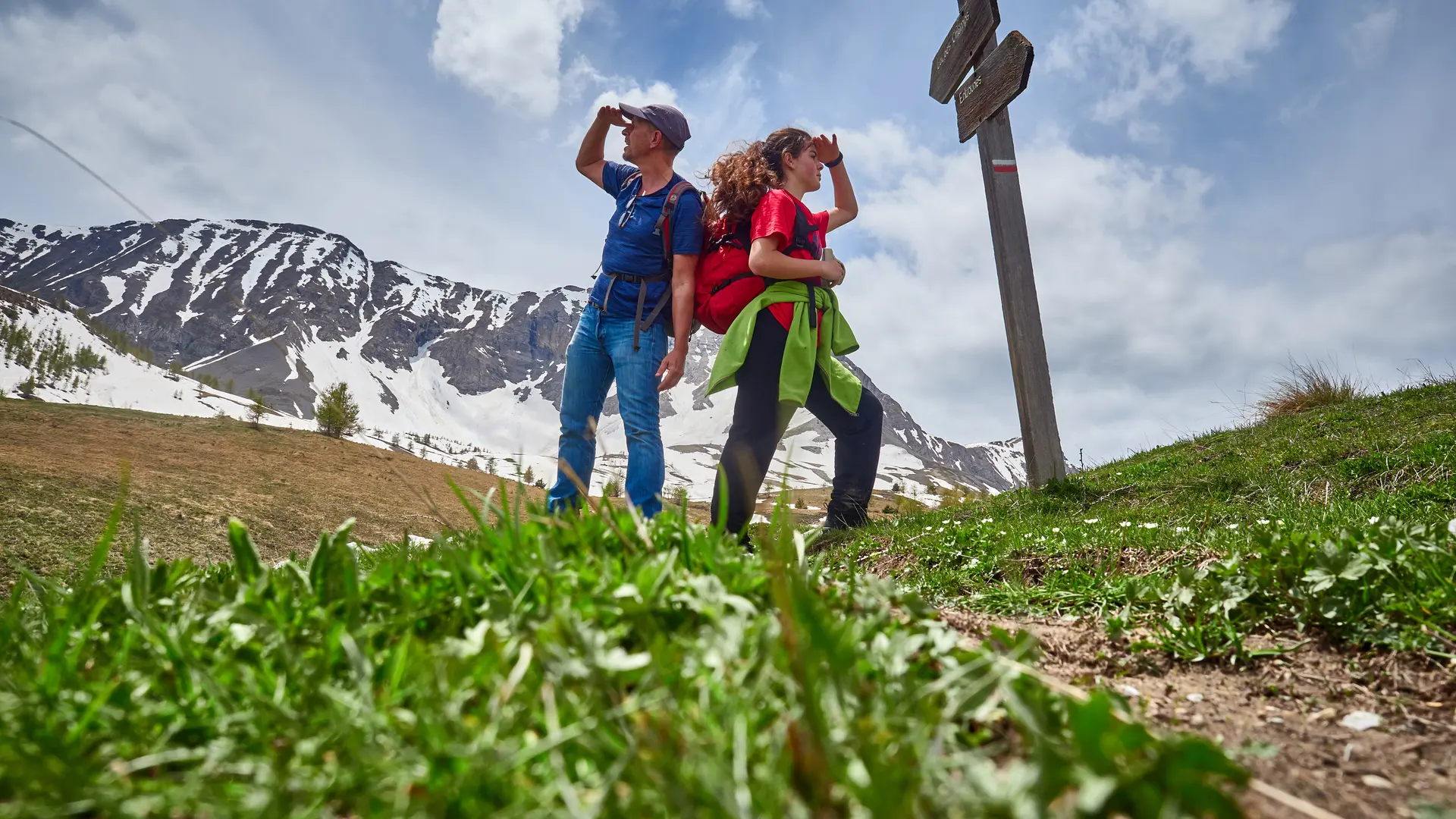 Randonnée avec ânes dans le Mercantour