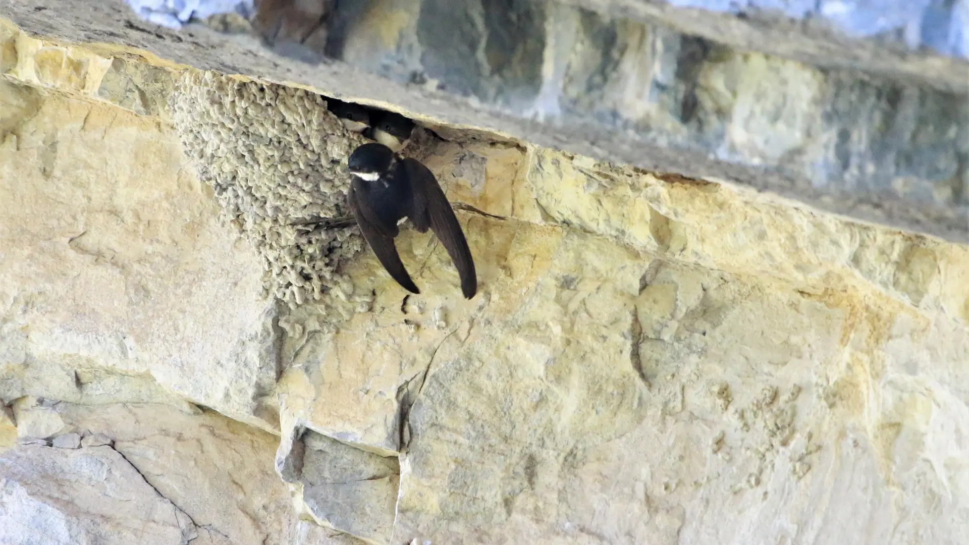 Le sentier des Bancs