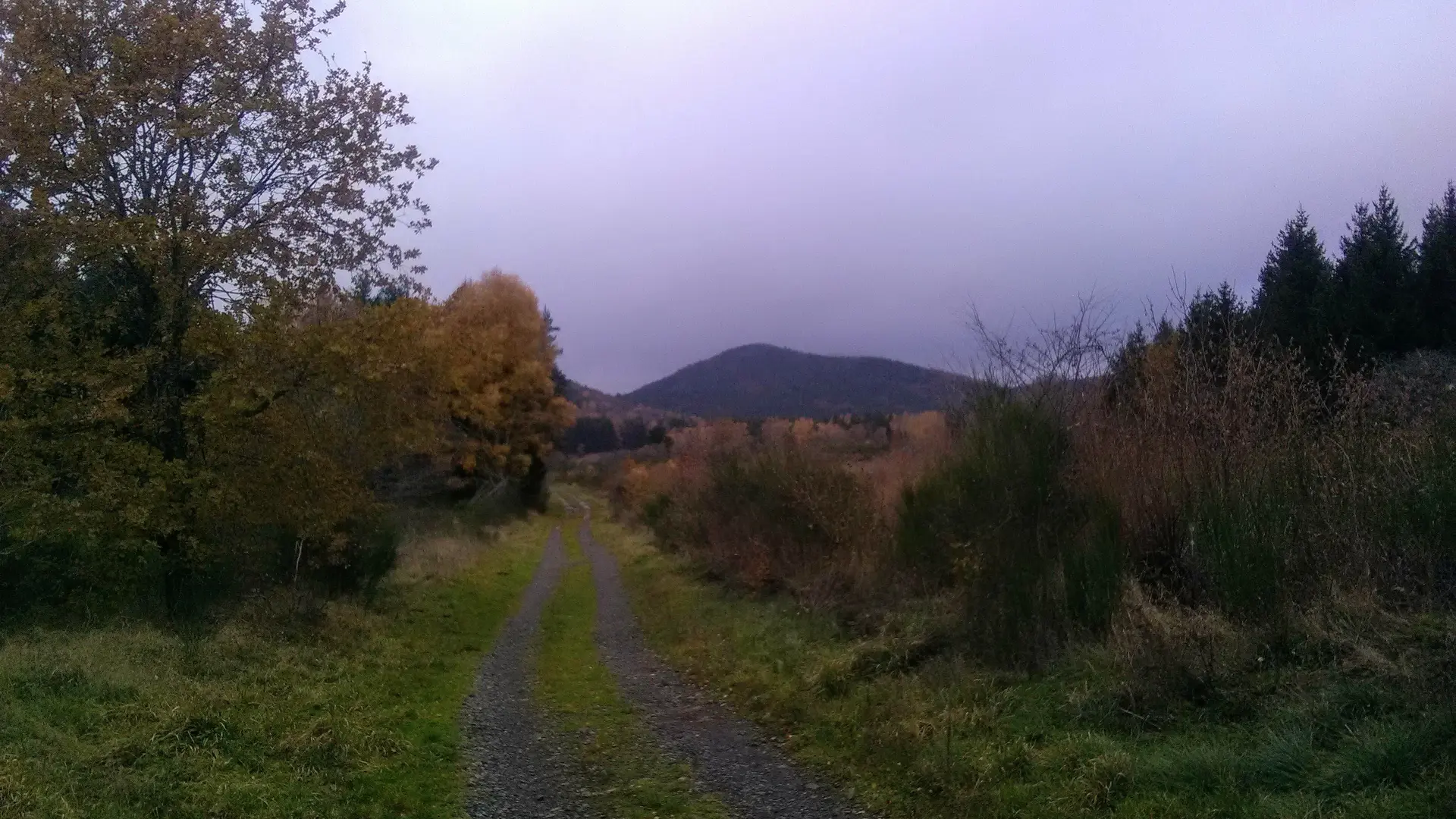 Randonnée VTT Les Bruyères