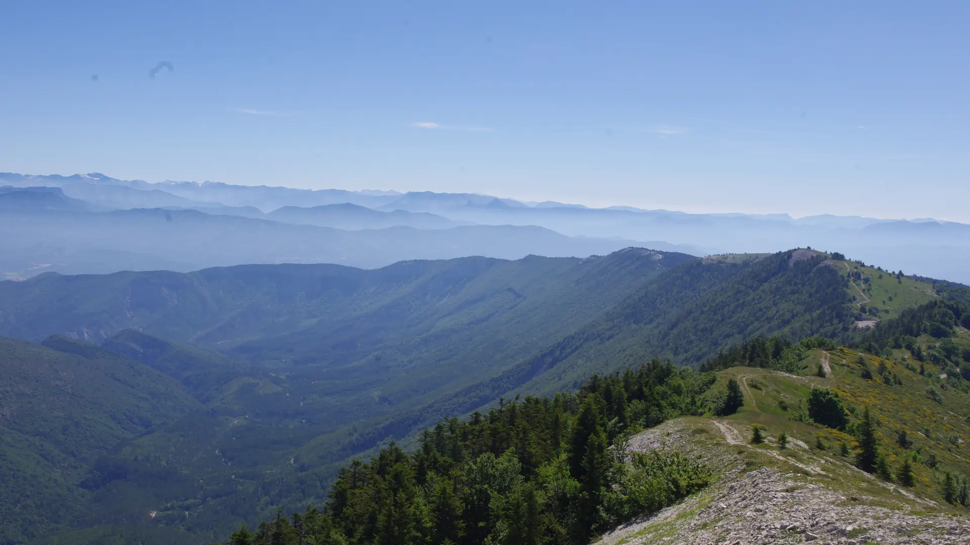 Sur la Montagne de Lure