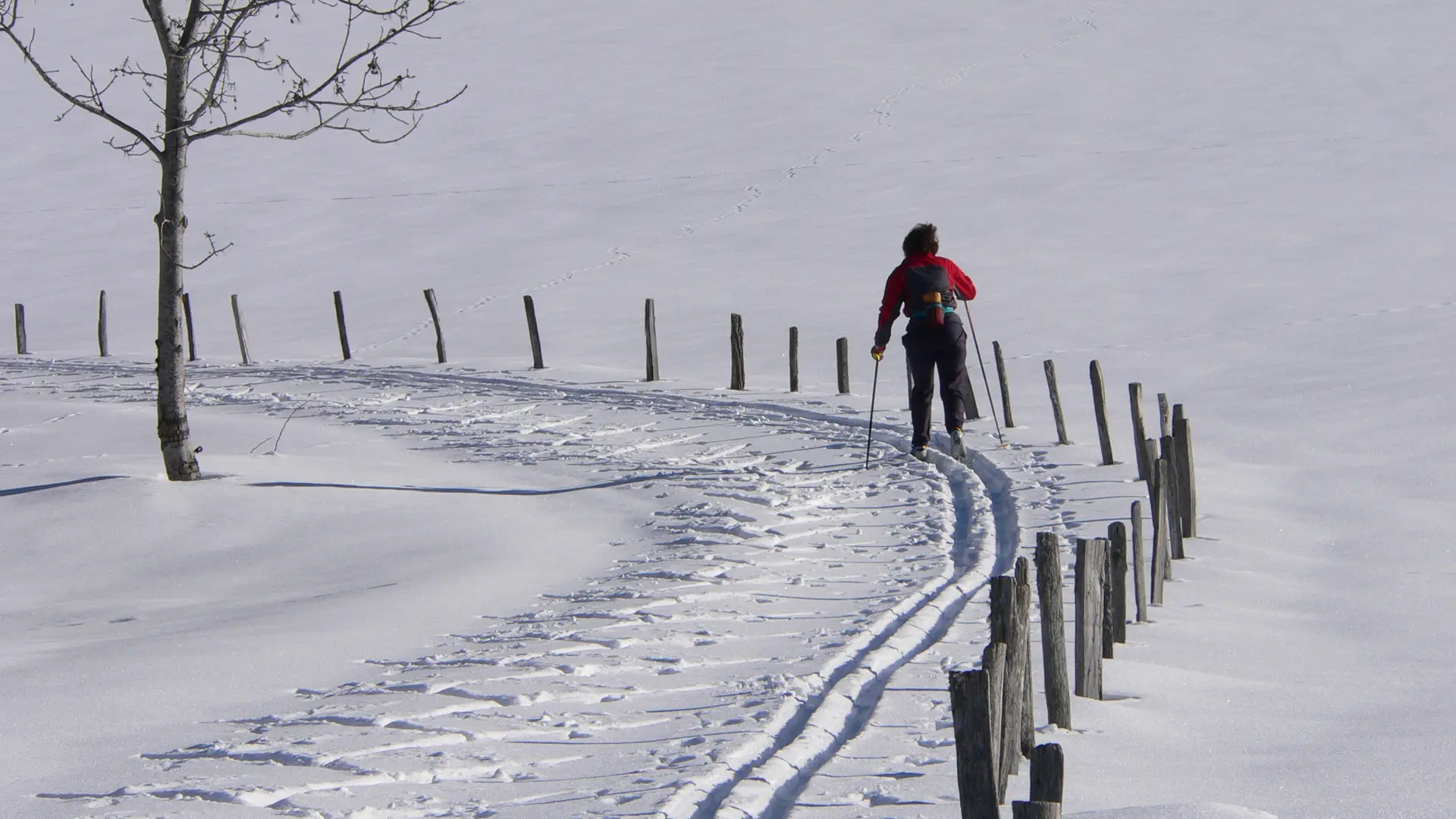 Plateau de Retord