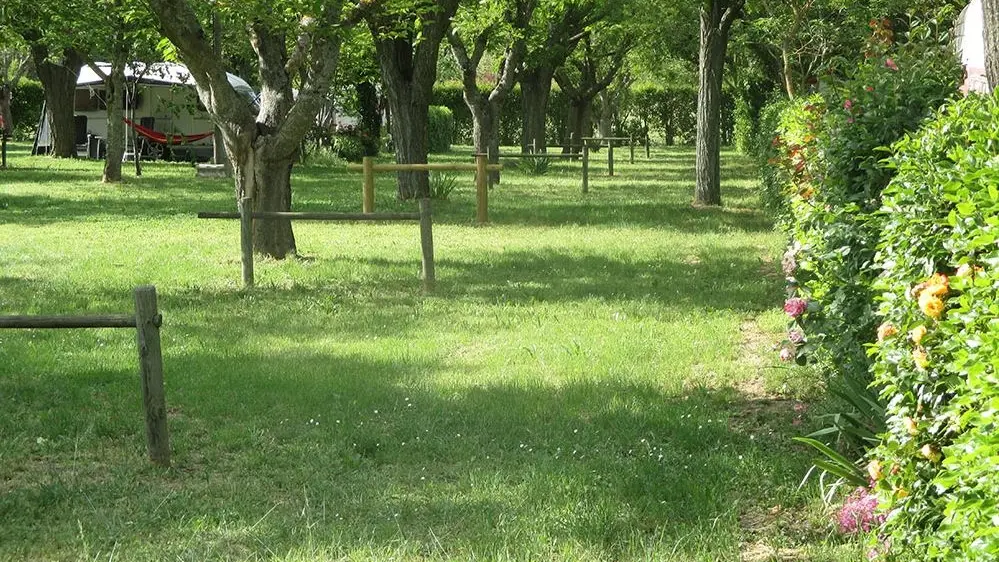 Camping chenes verts près de l'étang de la Bonde