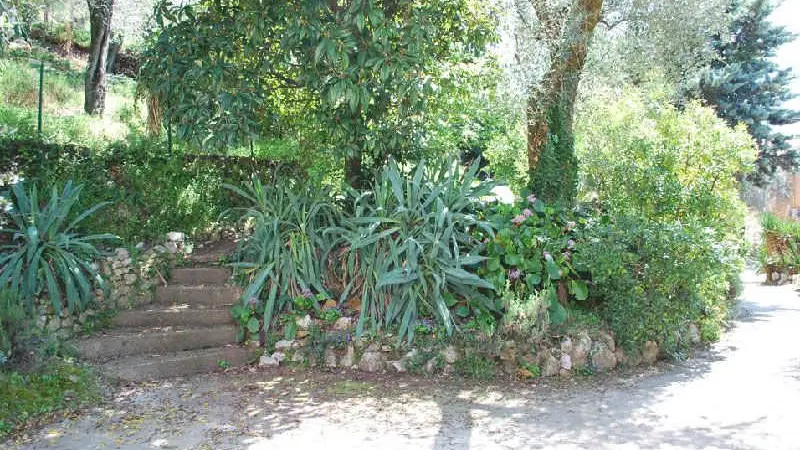 Gîte La Jonquiere Figuier-Jardin-Contes-Gîtes de France des Alpes-Maritimes