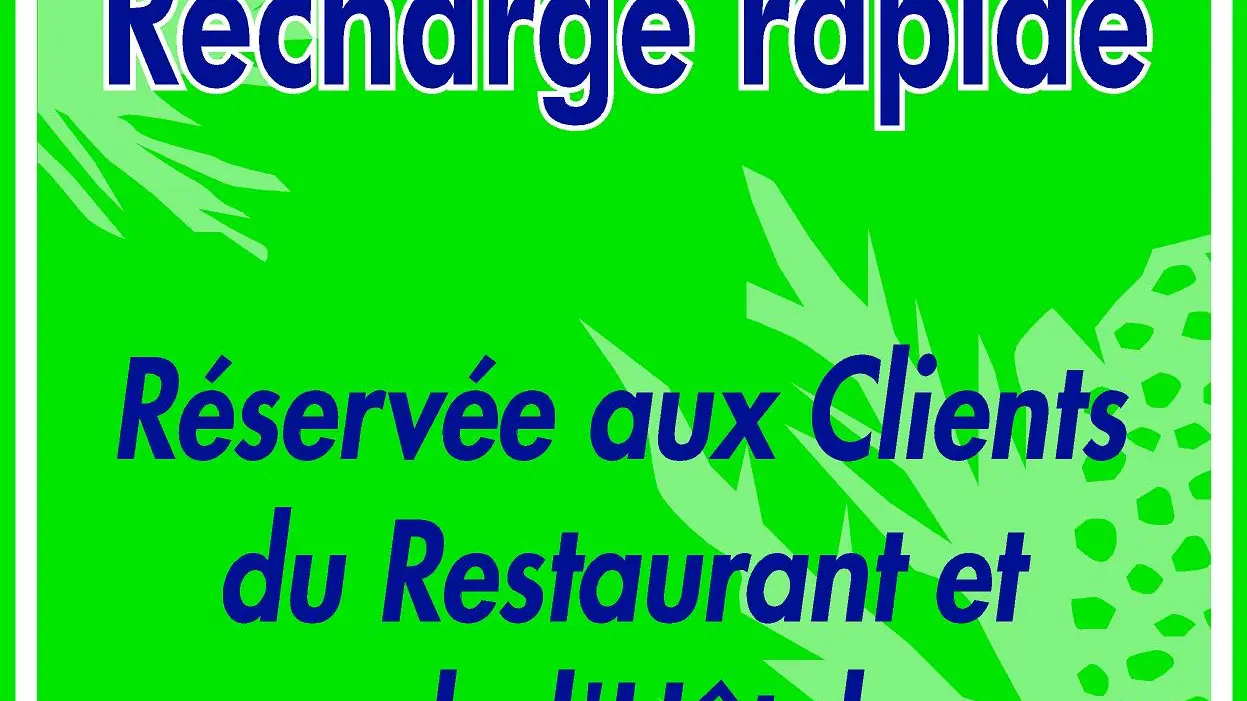 Borne recharge Hotel le chardon bleu Risoul