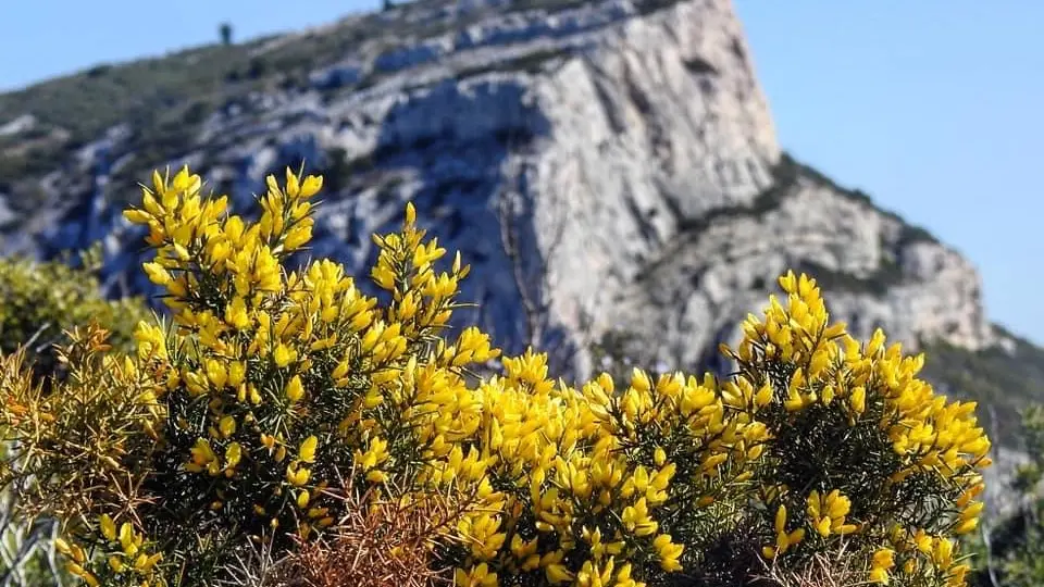 Aubagne, à 10mn, capitale de l'argile de la céramique et des santons. Le Garlaban,  très chères collines de Marcel Pagnol.
Photo: Lionel Ferrandez