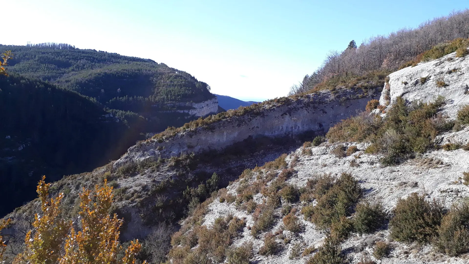 Point de vue durant la balade