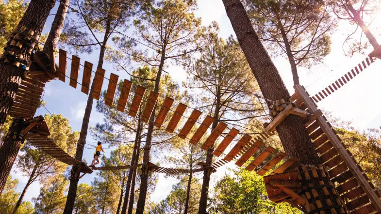 Parcours accrobranche