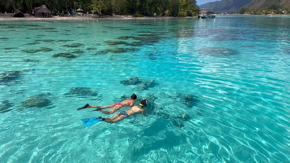 snorkeling-moorea-tiki-tour