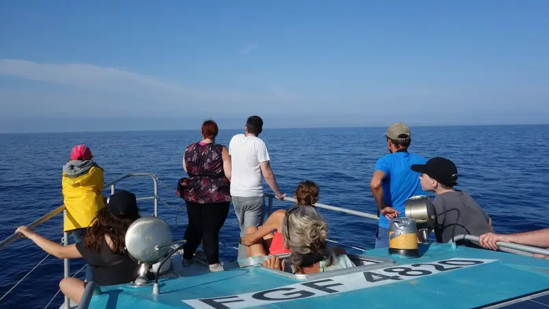 Sortie Observation des dauphins Espace Mer