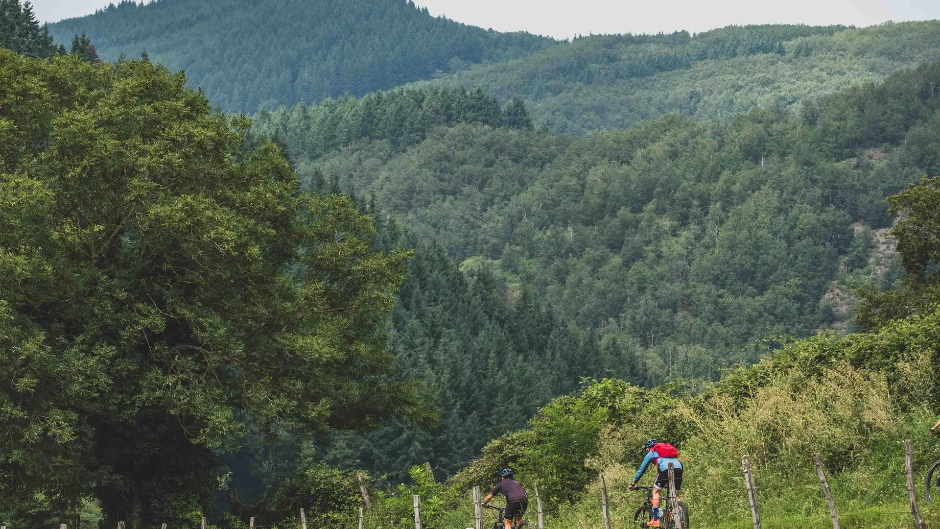 Espace VTT Vichy Montagne