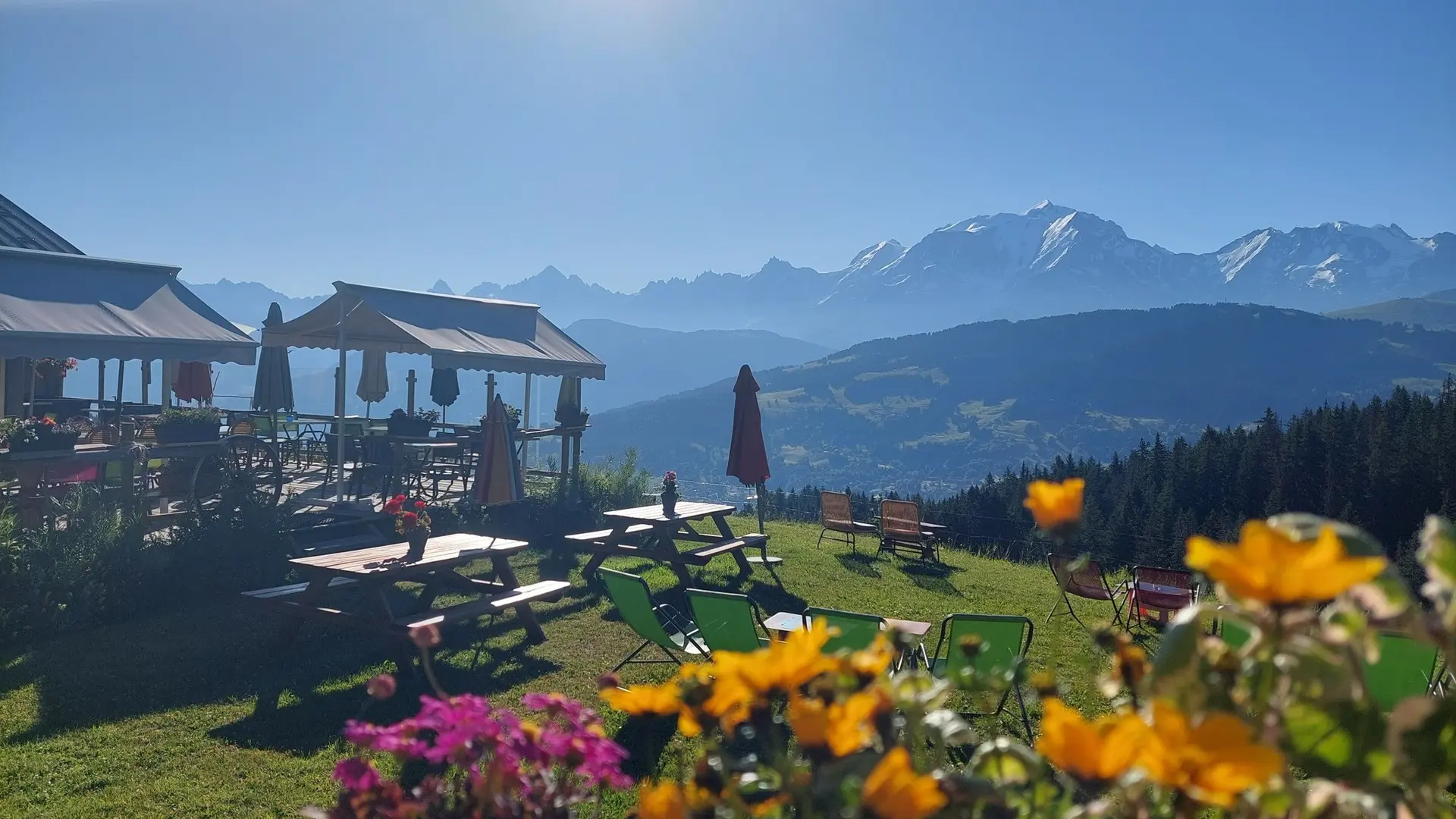 jardin vue mont-blanc