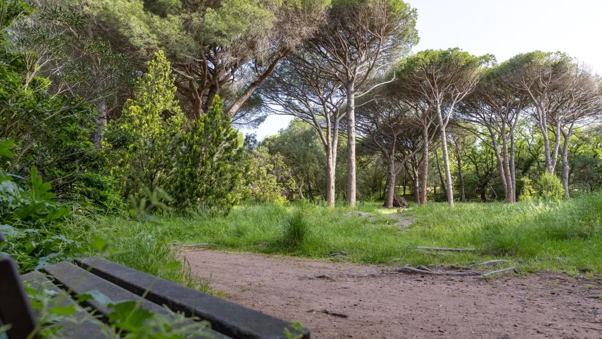 Sur les chemins du Parc aurélien