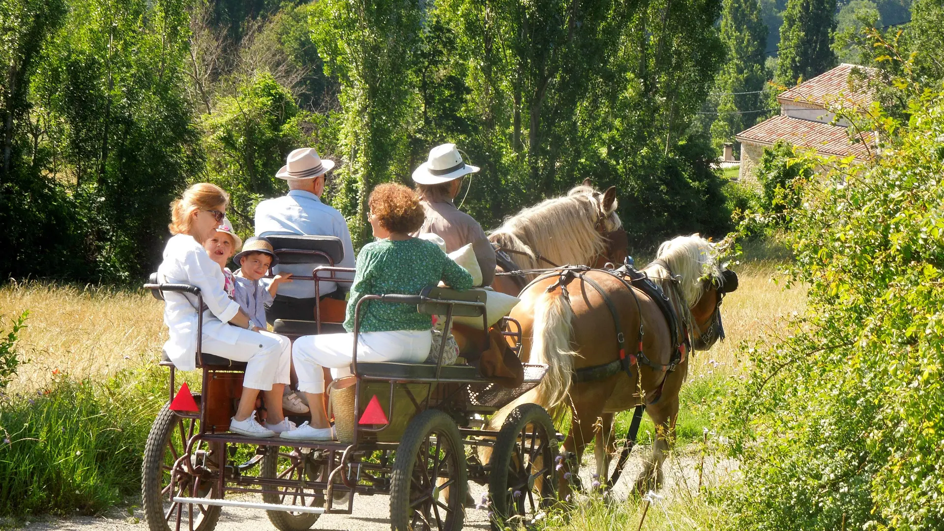 Balade en calèche attelage 4 personnes