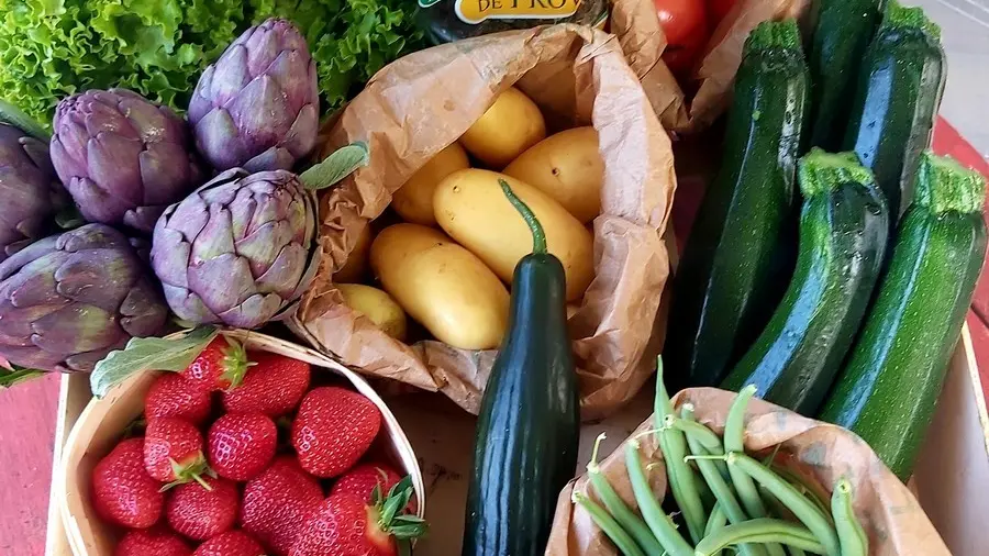 Producteur Bourgier & fils à Saint-Rémy-de-Provence