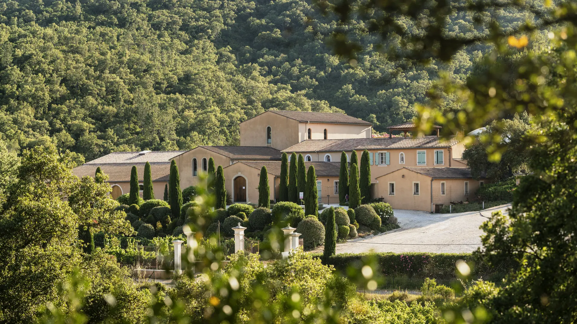 Visite de cave et dégustation au Château Pas du Cerf à La Londe les Maures