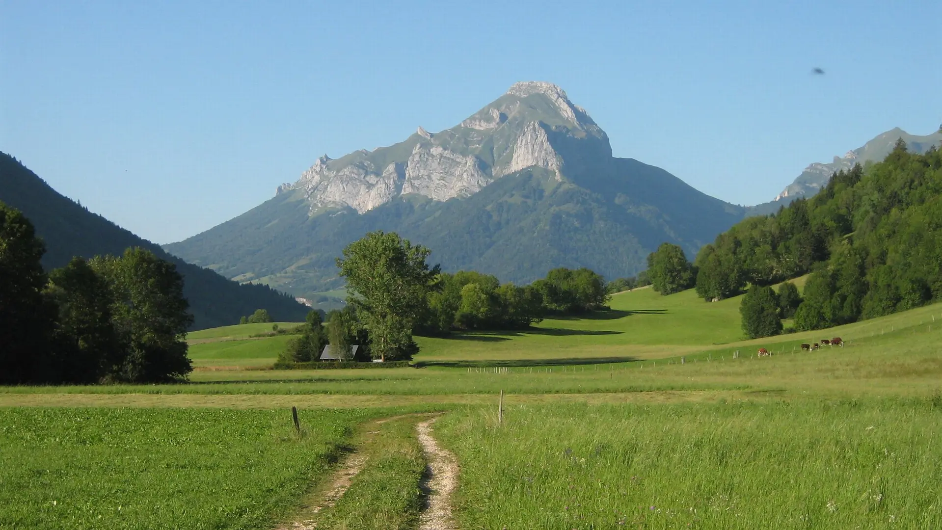 Montagnes